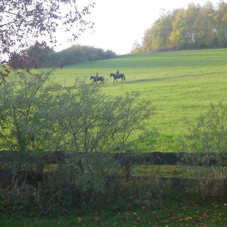 Natur Pur Mit Fernblick Fuer Wanderfreunde Bad Sachsa Exterior photo