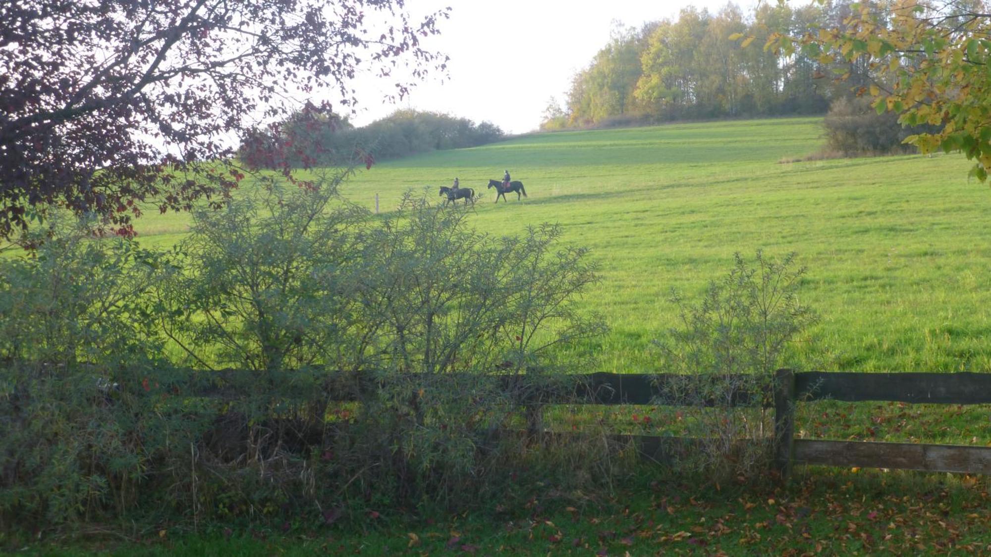 Natur Pur Mit Fernblick Fuer Wanderfreunde Bad Sachsa Exterior photo