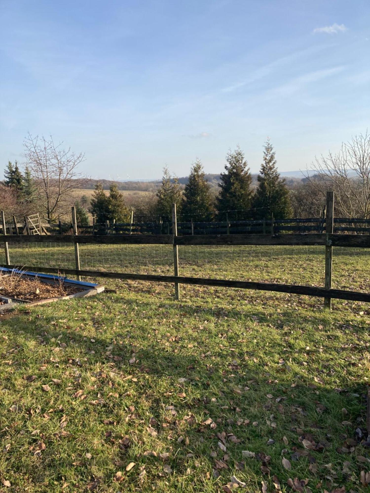 Natur Pur Mit Fernblick Fuer Wanderfreunde Bad Sachsa Exterior photo