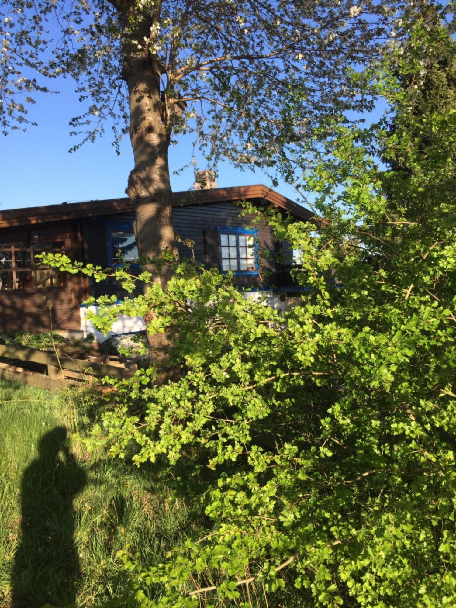 Natur Pur Mit Fernblick Fuer Wanderfreunde Bad Sachsa Exterior photo